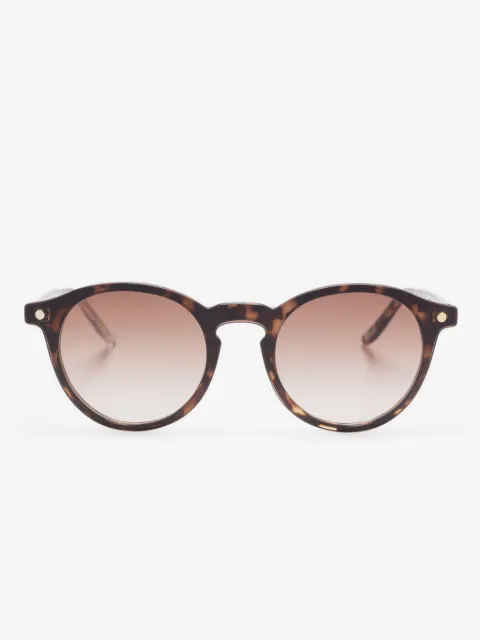 Snob Doguito glasses
