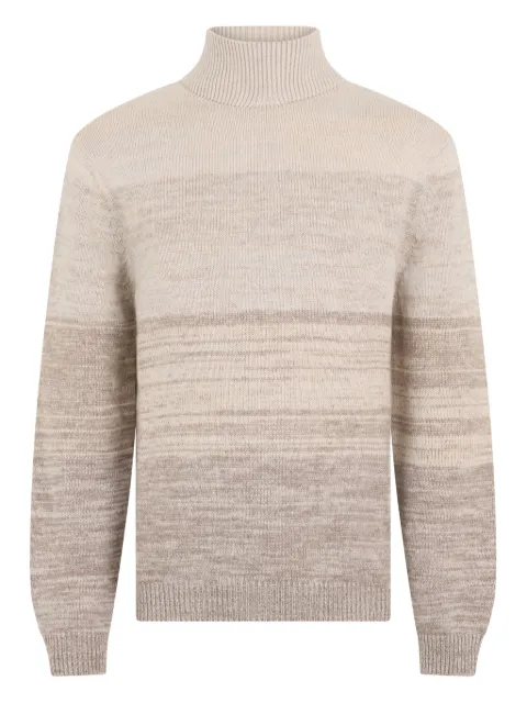 Malo suéter con cuello de tortuga