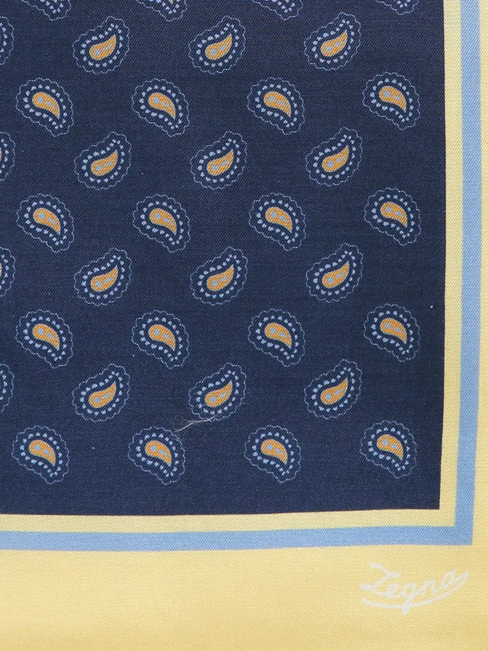 Zegna Sjaal met paisley-print - Blauw