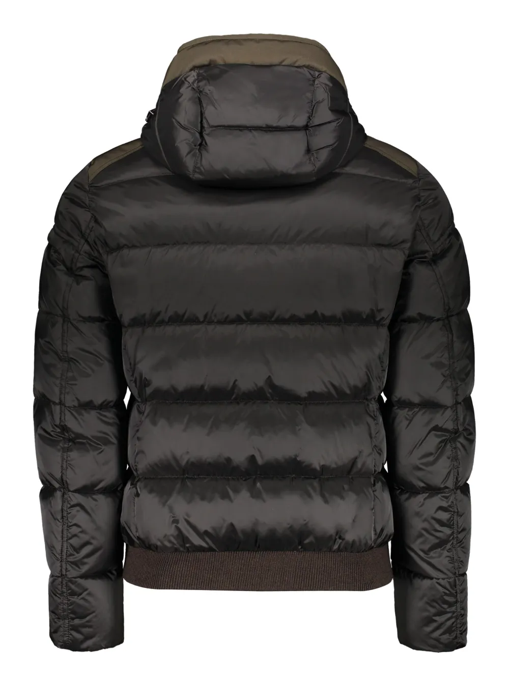 Moorer Hooded-neck Padded Collar In Brown