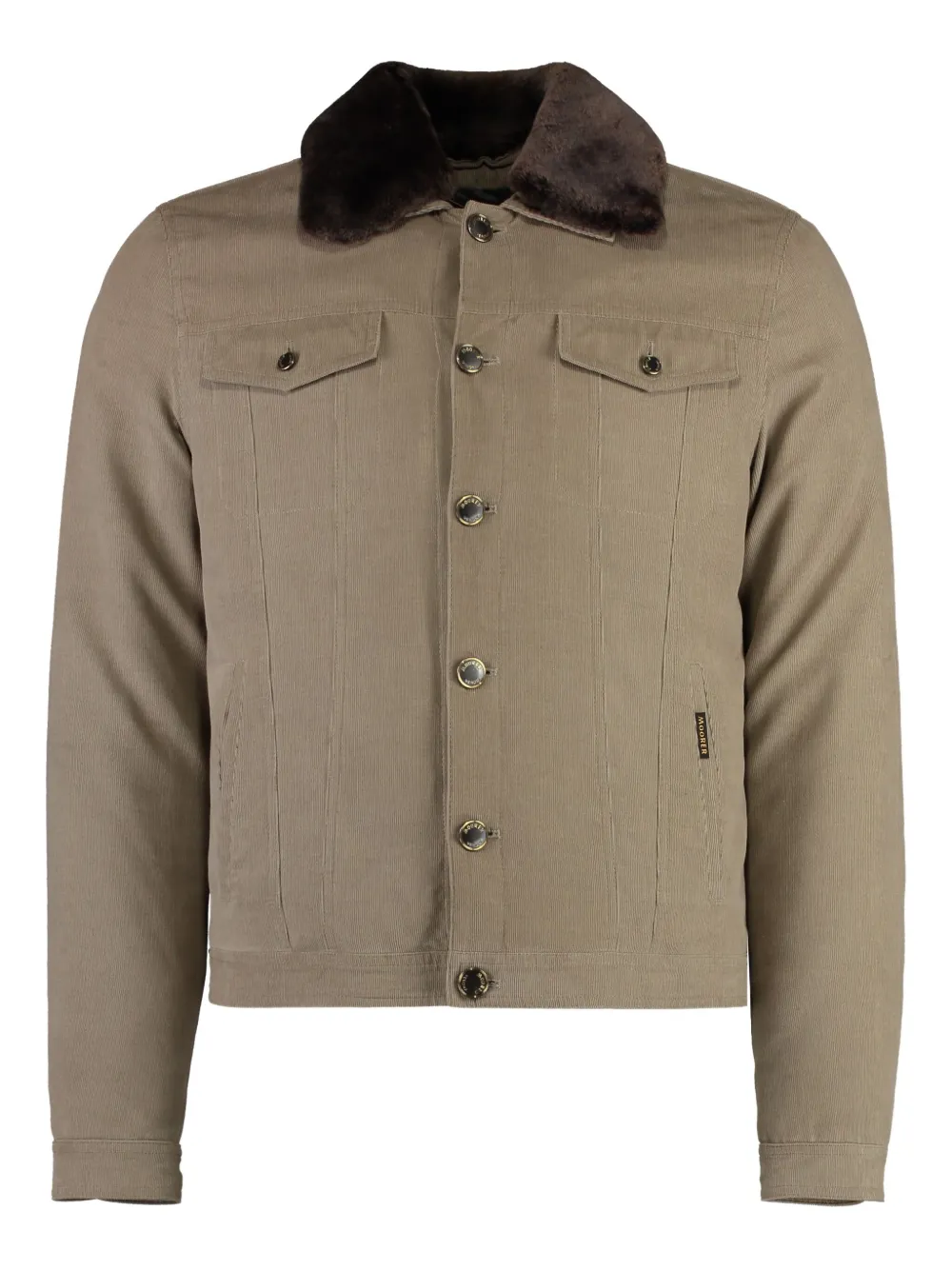 Moorer padded corduroy collar jacket Bruin