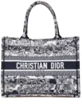 Christian Dior Pre-Owned 2021 Medium Canvas Embroidered Dioriviera Toile De Jouy Book tote bag - Blue