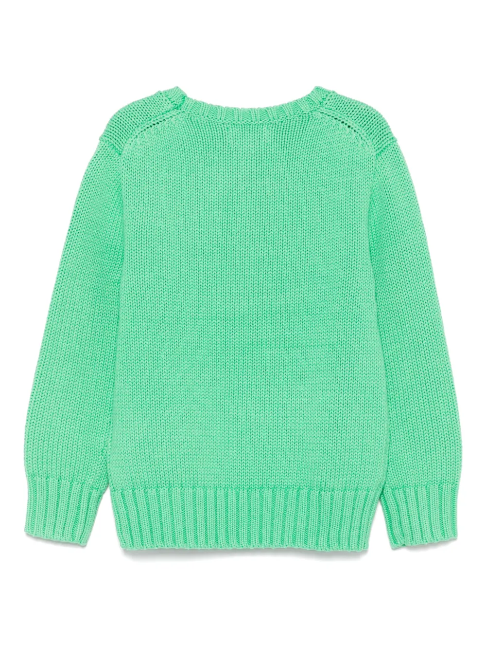 POLO RALPH LAUREN KIDS The Iconic Flag trui Groen