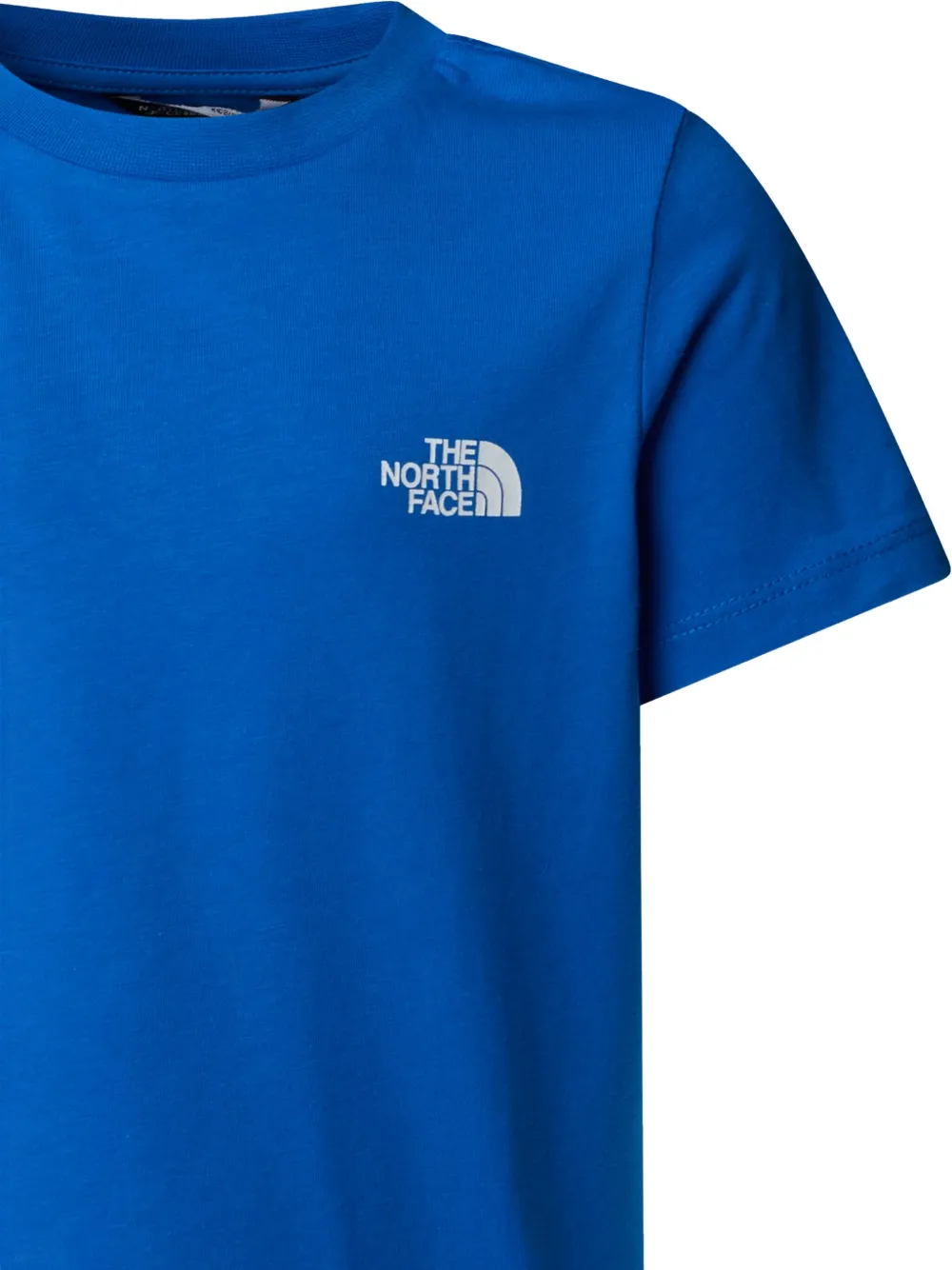 The North Face Kids T-shirt met grafische print Blauw