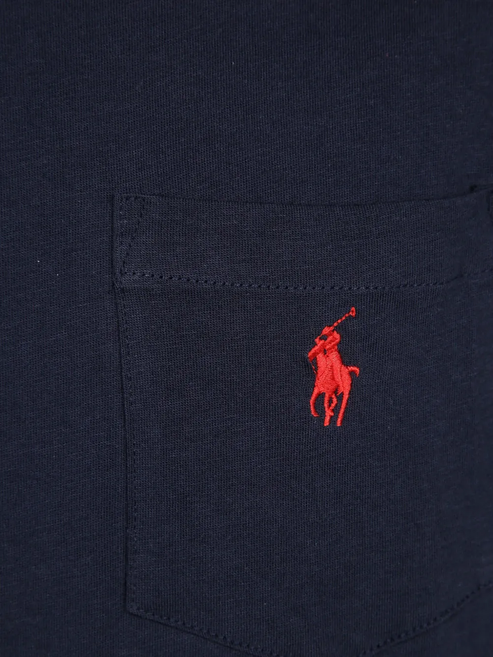Polo Ralph Lauren Cotton T-shirt In Blue