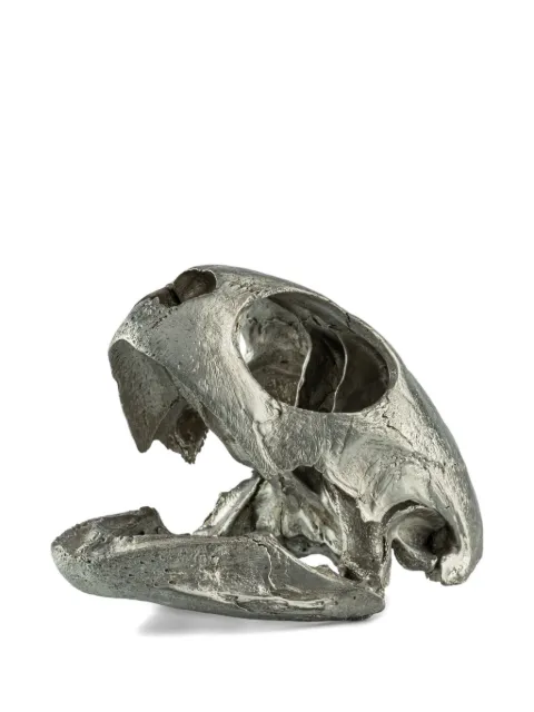 Parts of Four turtle-skull sculpture