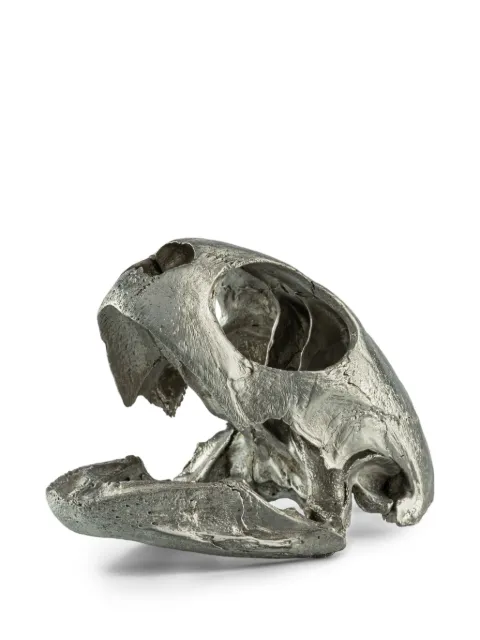 Parts of Four turtle-skull sculpture