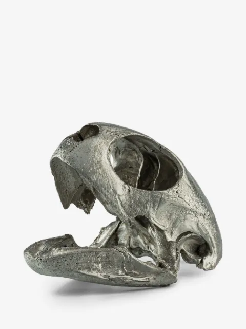 Parts of Four turtle-skull sculpture
