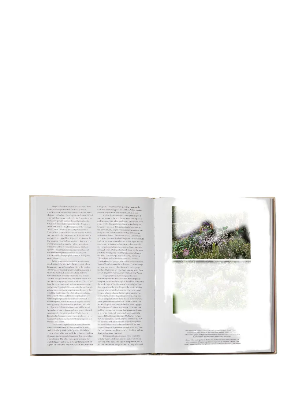 Phaidon Press The Seasonal Gardener Book In Multi