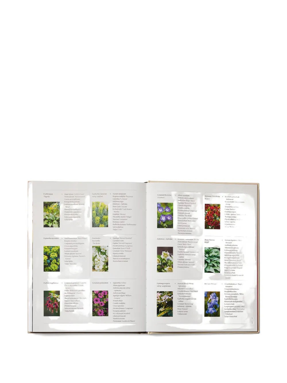 Phaidon Press The Seasonal Gardener Book In Multi