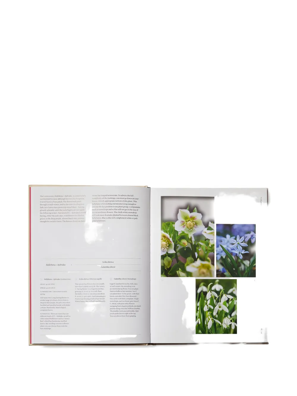 Phaidon Press The Seasonal Gardener Book In Multi