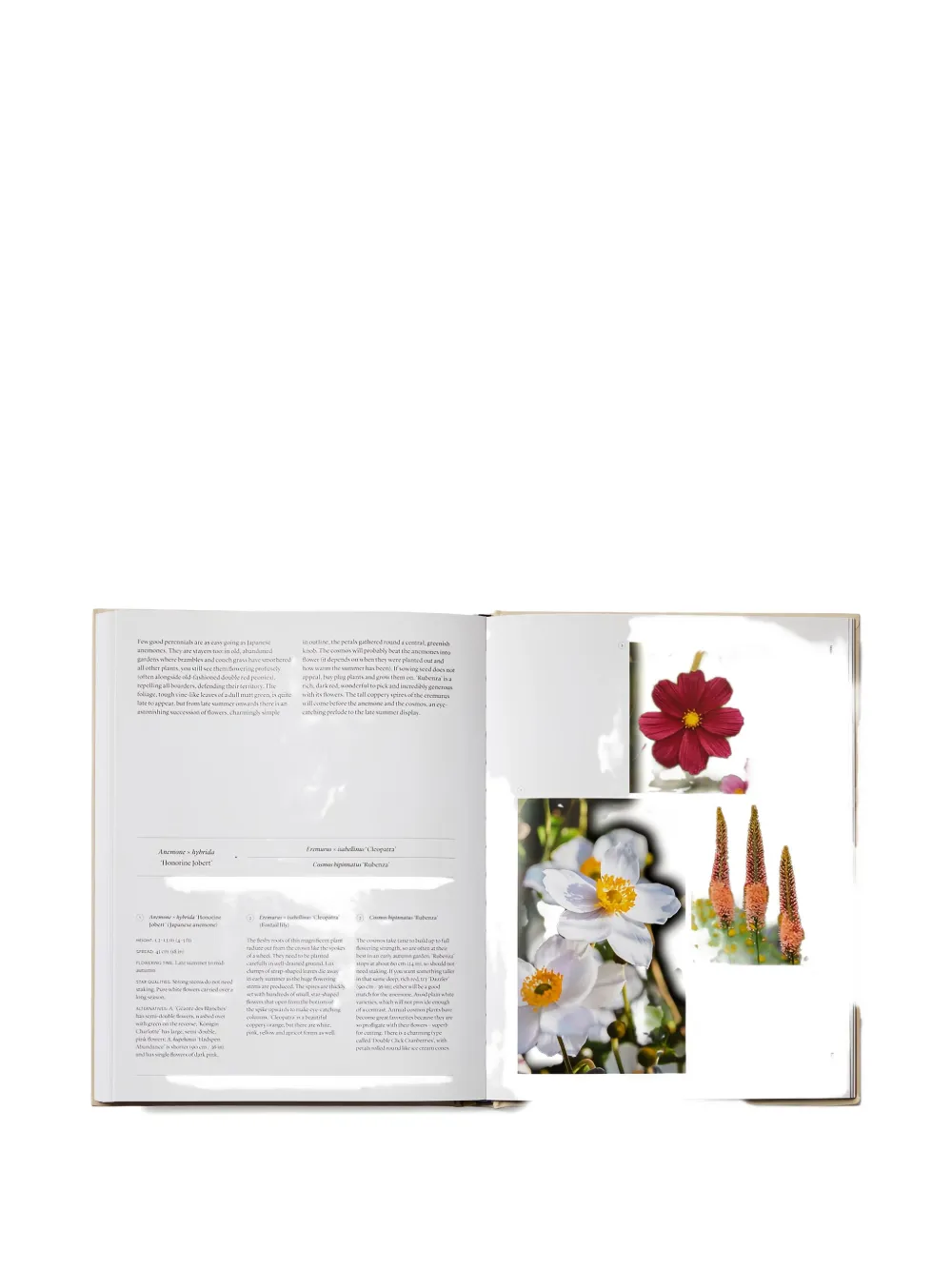 Phaidon Press The Seasonal Gardener Book In Multi