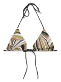 PUCCI Vivara-print bikini top - Green