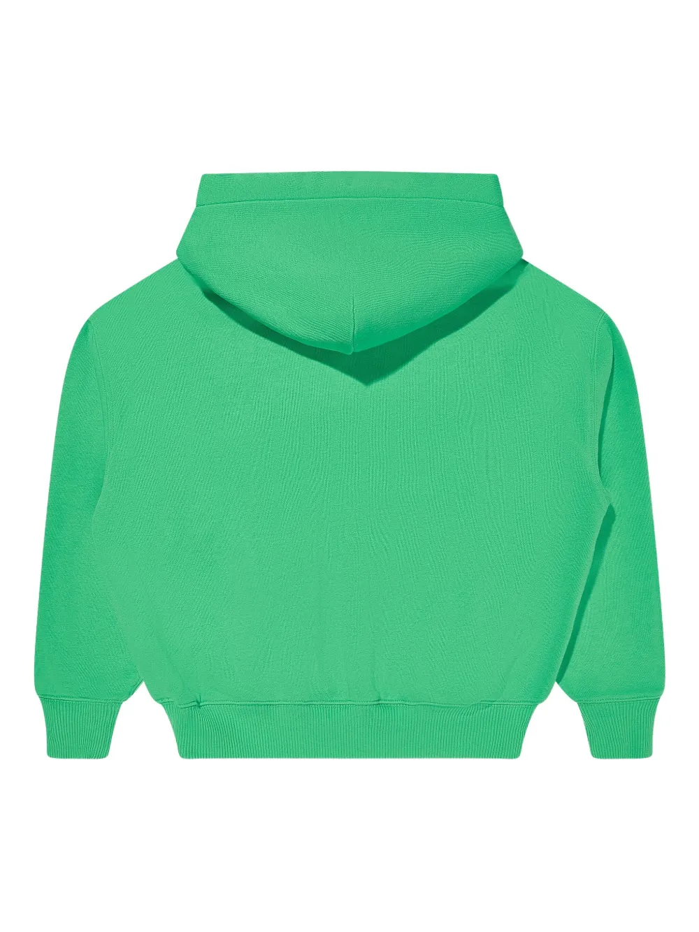 POLO RALPH LAUREN KIDS Hoodie met logoprint Groen