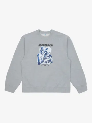Ader Error
