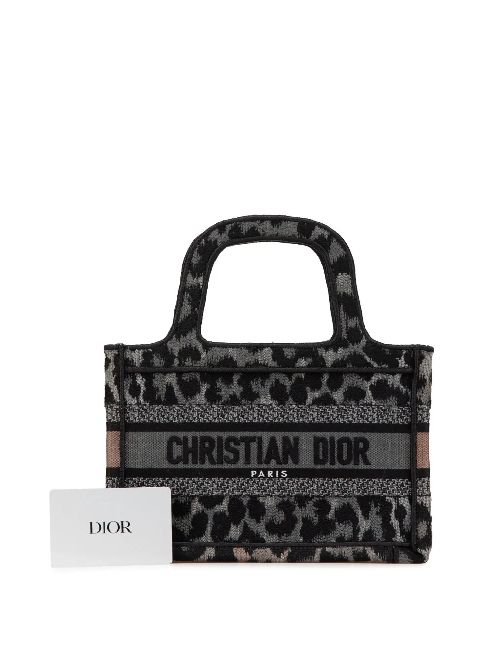 Christian Dior Pre-Owned 2021 Mizza Mini Embroidered Canvas
