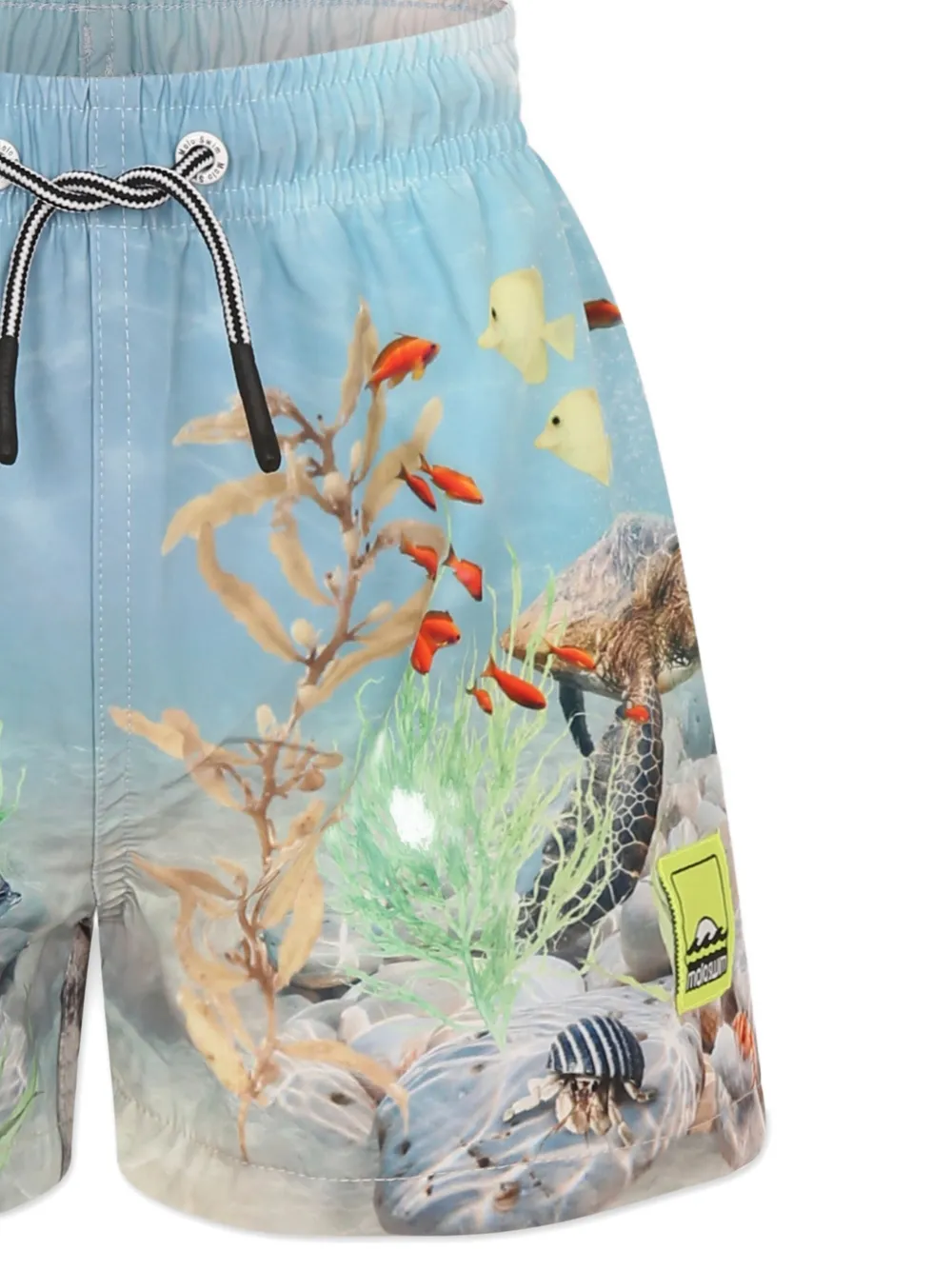 Molo Zwembroek met print Blauw
