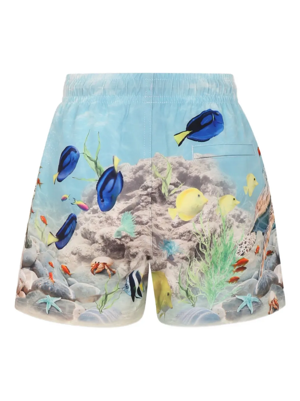 Molo shorts de playa con estampado gráfico | Trajes de baño y shorts de playa | Image 2