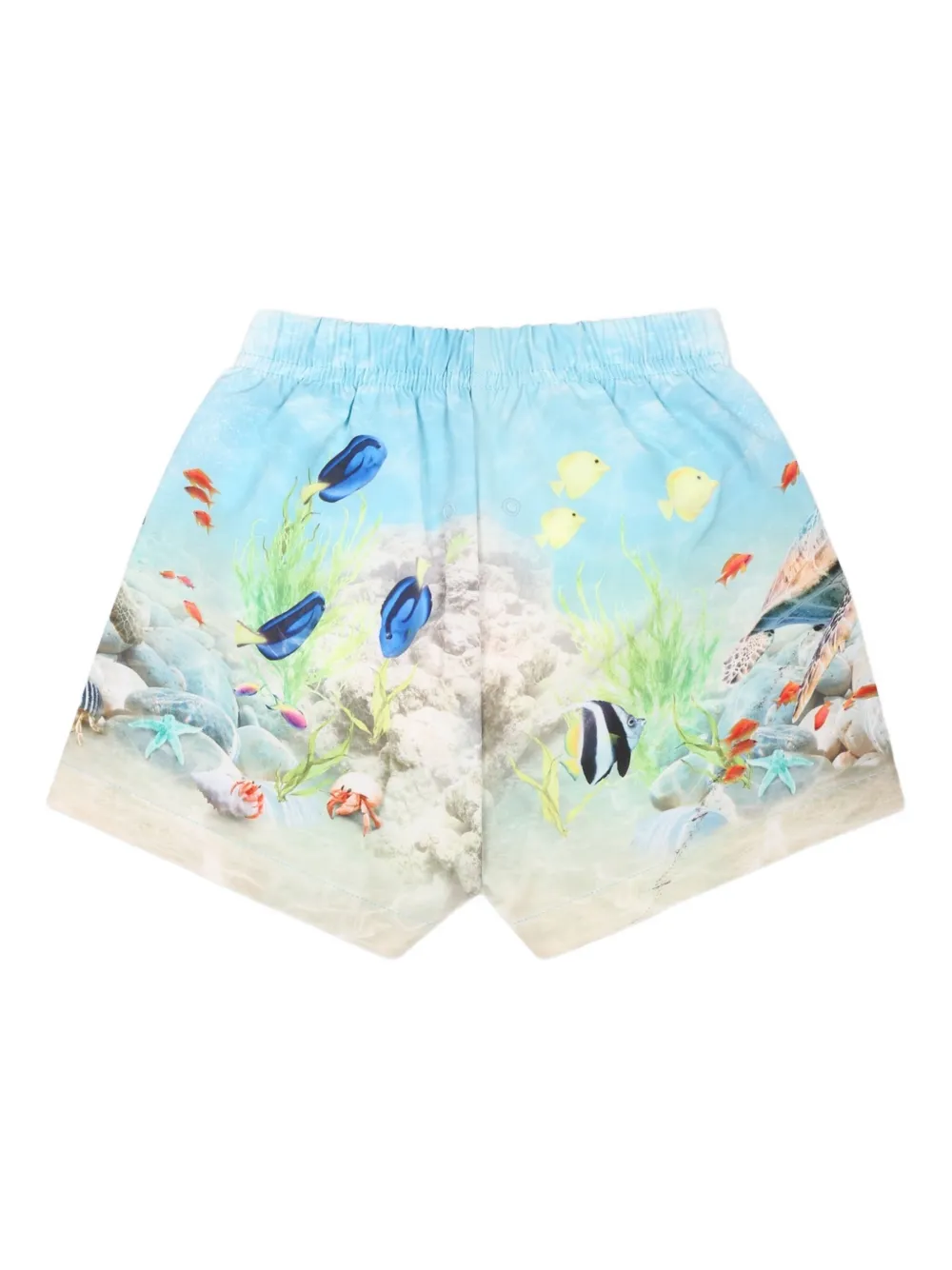 Molo shorts de playa con estampado gráfico | Trajes de baño y shorts de playa | Image 2