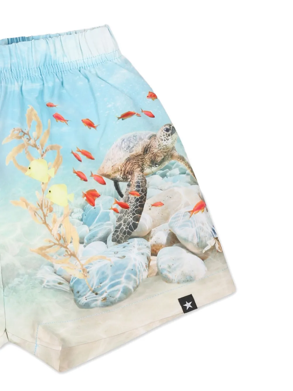 Molo Zwembroek met print Blauw