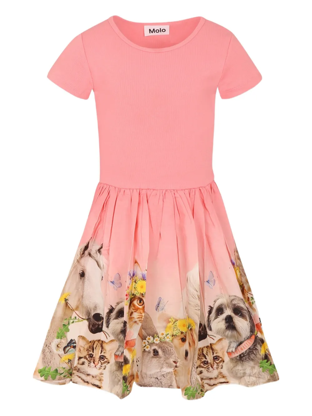 Molo vestido corto con estampado gráfico | rosado | Image 1
