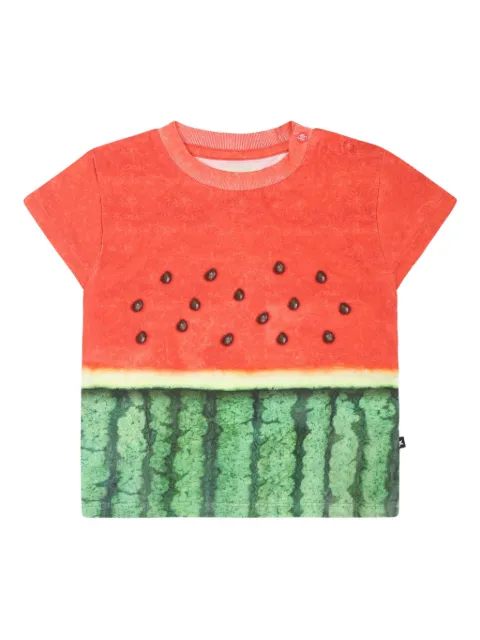 Molo playera estampada