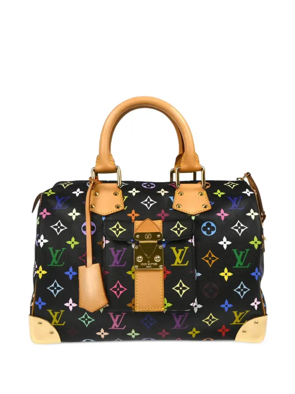 Louis Vuitton Pre-owned 2010 Speedy 30 Handbag in Black
