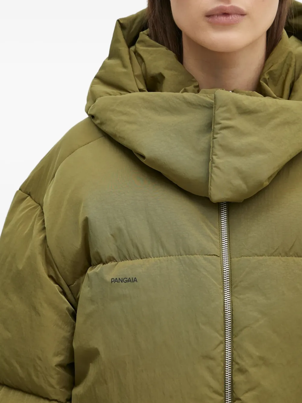 Pangaia Donsjack met capuchon Groen