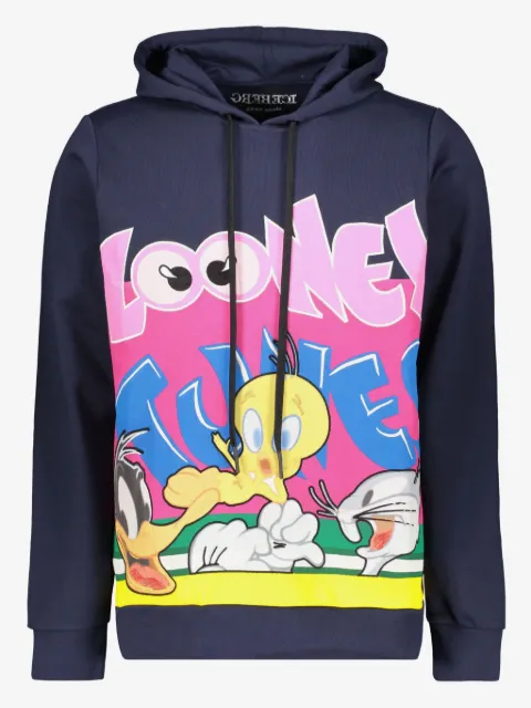 Iceberg graphic-print hoodie