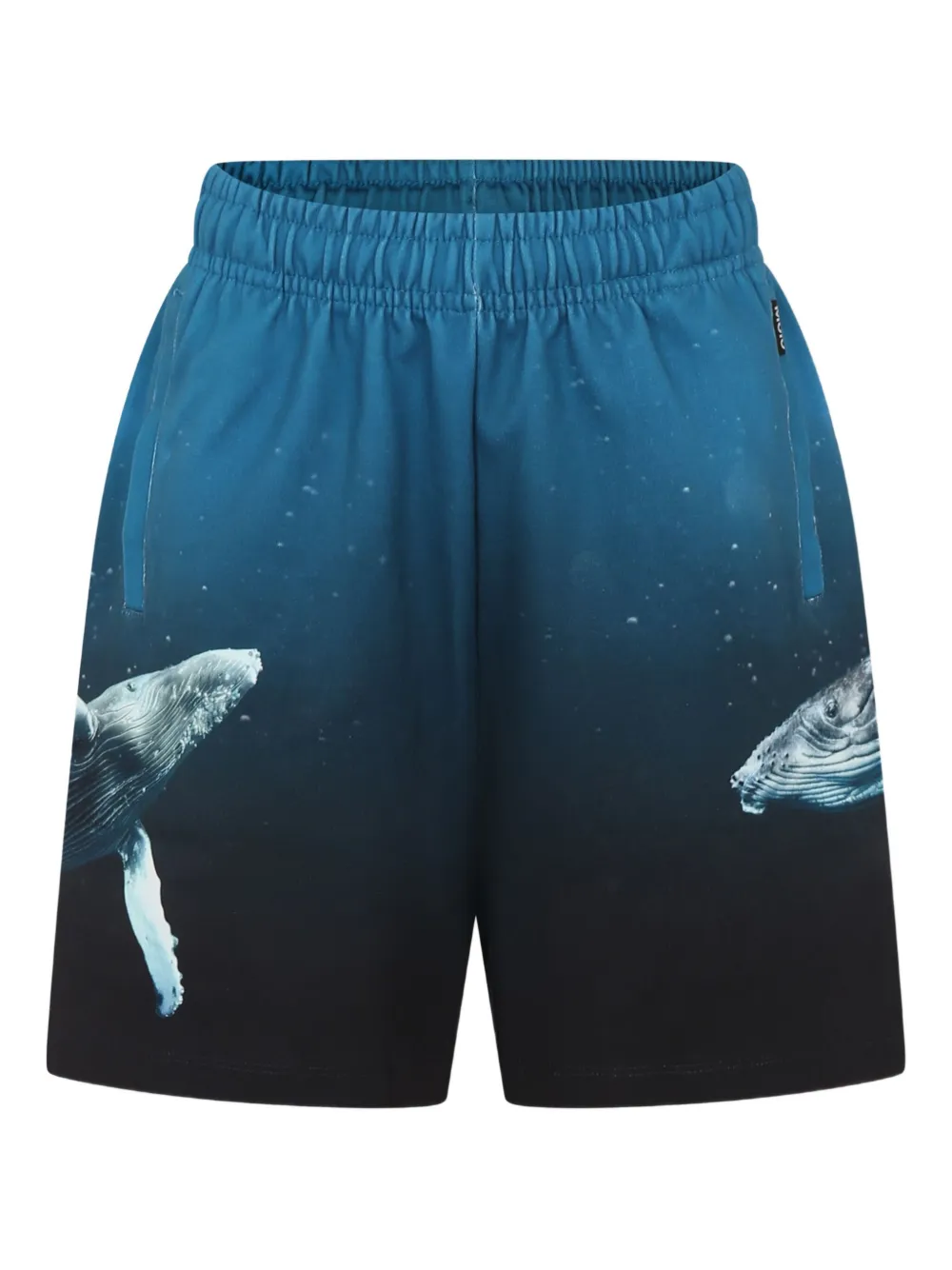 Molo bermudas con estampado gráfico | azul | Image 1