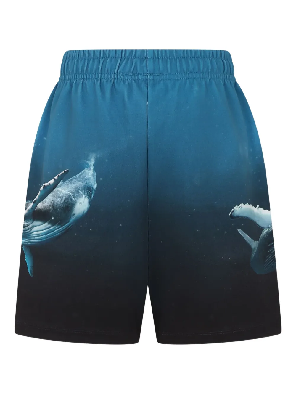 Molo bermudas con estampado gráfico | Shorts casuales | Image 2