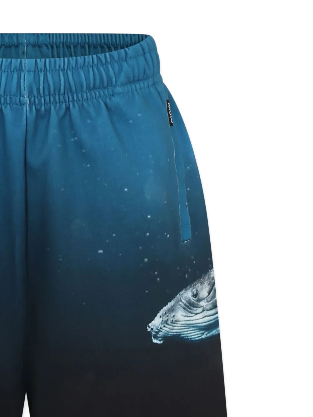 Molo Shorts met grafische print Blauw