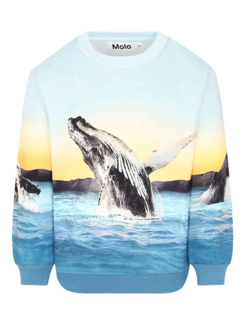 Molo Sweater met walvisprint Blauw