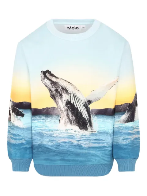 Molo whale-print sweatshirt