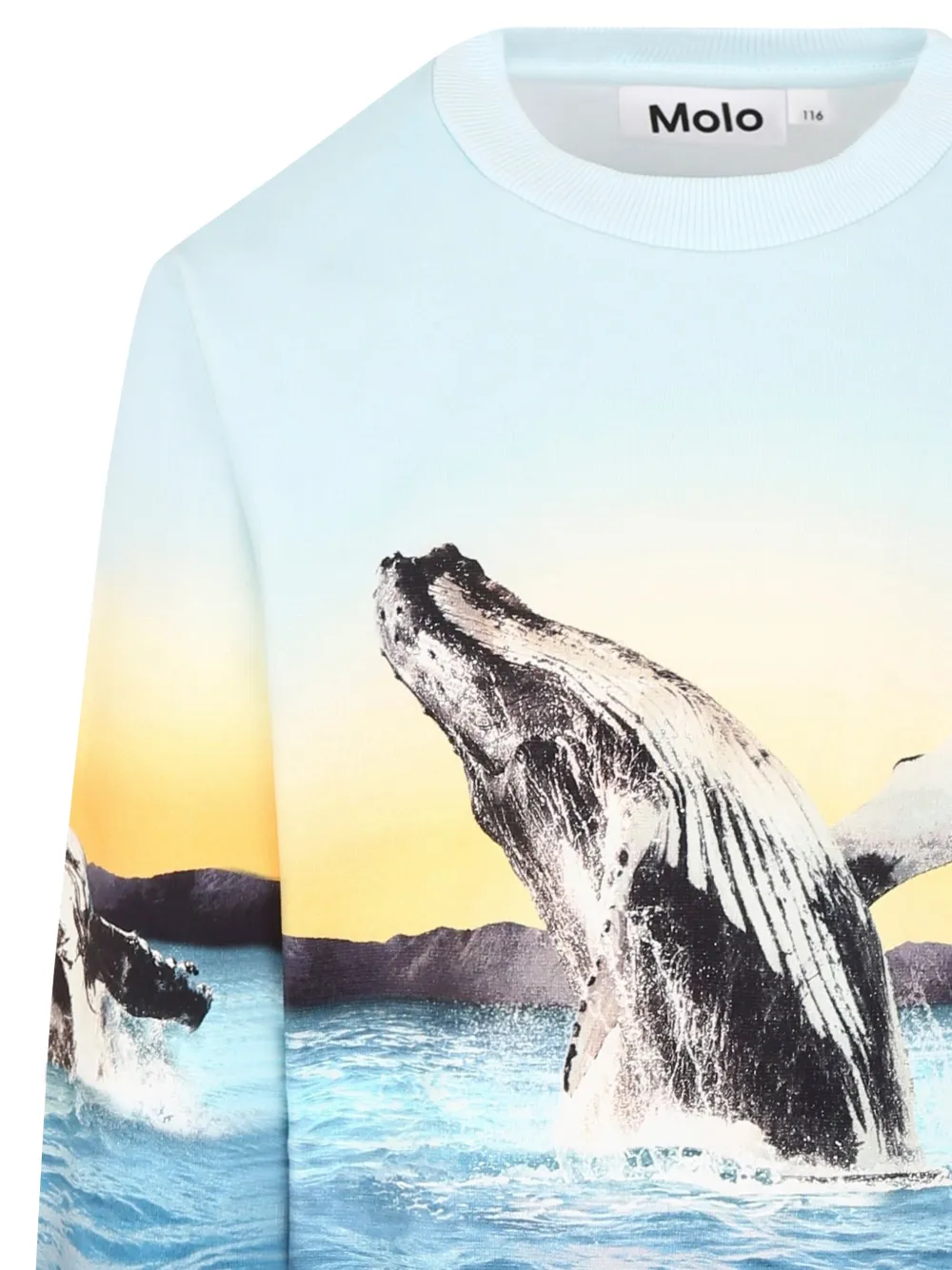 Molo Sweater met walvisprint Blauw