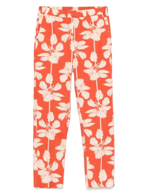 Diega pantalones Pacifico