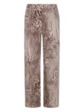 Blumarine leopard-print straight-leg jeans - Brown