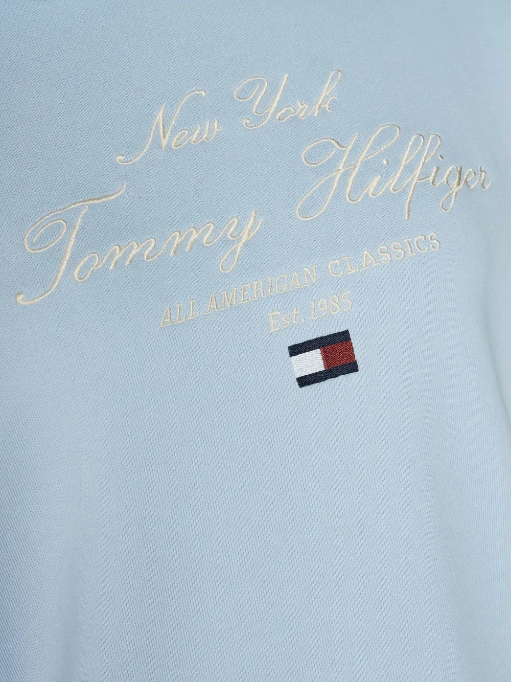 Tommy Hilfiger Hoodie met geborduurd logo Blauw