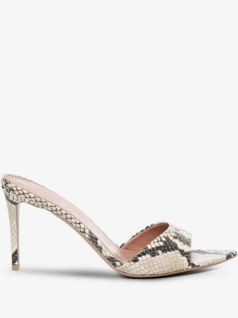 Giuliano Galiano Alixia mules