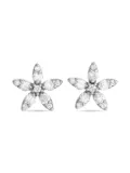 LB Exclusive 14K white gold Flower diamond earrings - Silver