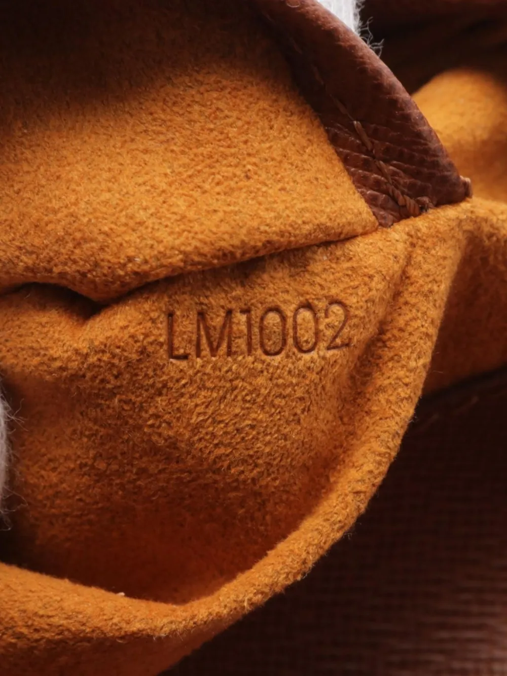 Louis Vuitton Pre-Owned 2002 Musette Salsa schoudertas Bruin