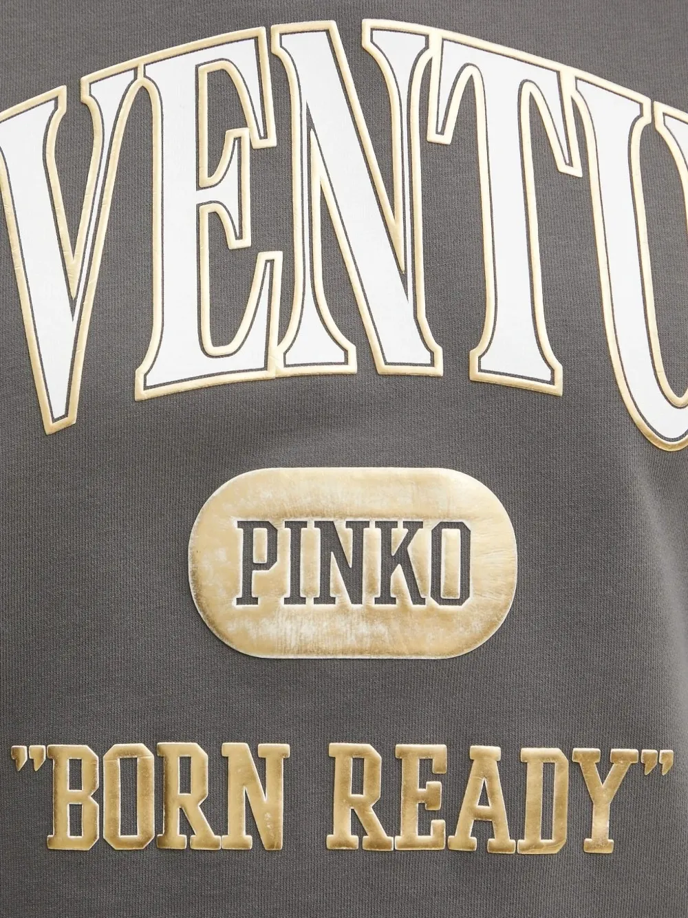 PINKO cotton sweatshirt Grijs