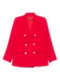 Max Mara Edicola blazer - Red