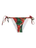 Dolce & Gabbana floral-print tie-side bikini bottoms - Red