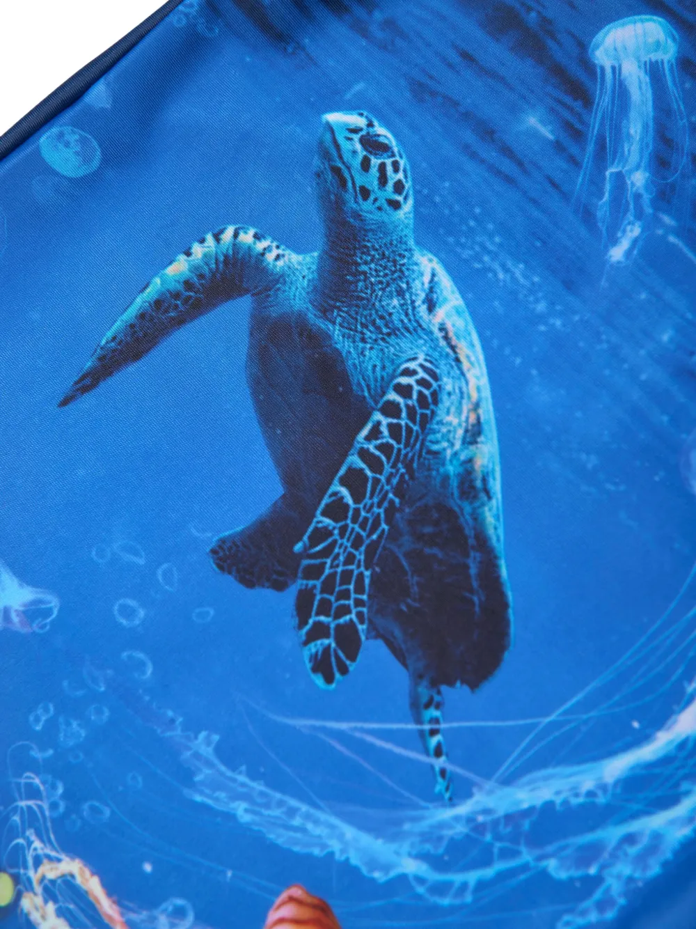 SOLISWIM KIDS Badpak met schildpadprint Blauw