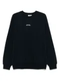 A.P.C. x Asics Lake sweatshirt - Blue