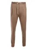 Lardini pleated elasticated-waistband trousers - Brown