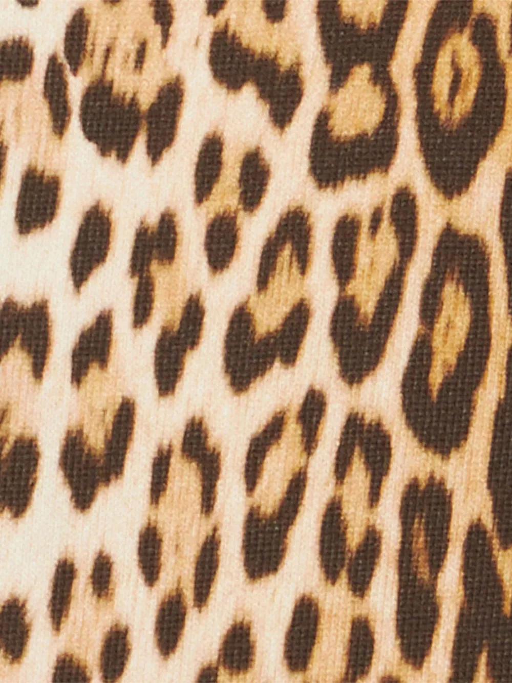 Roberto Cavalli Junior Hoodie met jaguarprint Bruin