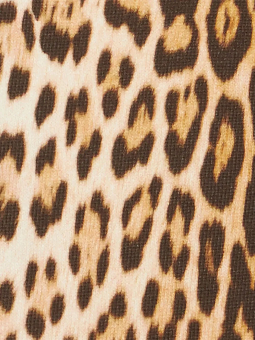 Roberto Cavalli Junior Hoodie met jaguarprint Bruin