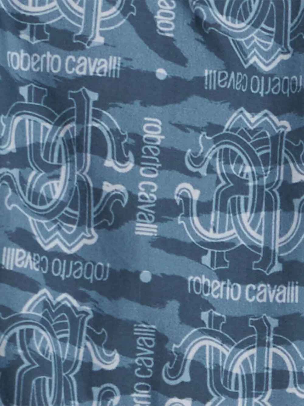 Roberto Cavalli Junior Cargo shorts met print Blauw